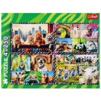 TREFL 13313 Puzzle 4x250 Zabawne zwierzaki