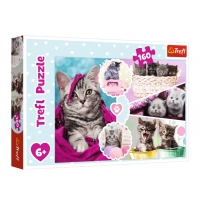 TREFL 15371 Puzzle ''160'' Urocze kotki
