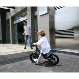 MILLY MALLY Qplay Rowerek biegowy Racer green