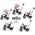 MILLY MALLY 6181 Rowerek trójkołowy Movi black-pink 5w1