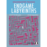 Endgame Labyrinths by Jacob Aagaard and Steffen Nielsen (twarda okładka)