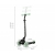 Qplay Hulajnoga Sema Evo 3w1 Green