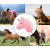 Milly Mally Hobby Koń na Kiju Pink