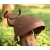 Qplay Rowerek Trójkołowy Rito Deluxe Rubber Brown