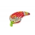 Bestway 43490 Dmuchany materac do pływania Fiesta Papryczka 1.95m x 99cm
