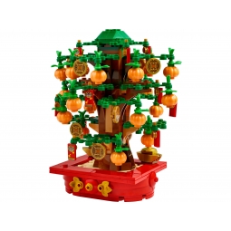 LEGO 40648 PACHIRA