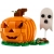 LEGO CREATOR 40697 DYNIA NA HALLOWEEN