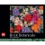 LEGO 5007851 PUZZLE BRICK BOTANICALS - 1000 elementów