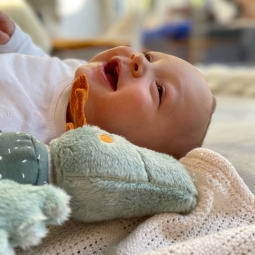 Przytulanka Smok na rzepy wielofunkcyjna zabawka rozwojowa dzieci sigikid