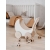 Biały wózek drewniany dla lalek ooh noo