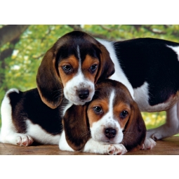 CLEMENTONI PUZZLE 500 EL HIGH QUALITY COLLECTION SZCZENIACZKI 30289