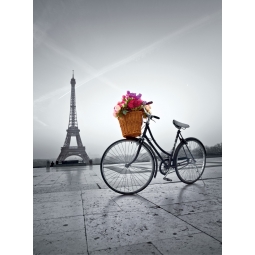 CLEMENTONI PUZZLE 500 EL HIGH QUALITY COLLECTION ROMANTYCZNA PROMENADA W PARYŻU 35014