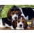 CLEMENTONI PUZZLE 500 EL HIGH QUALITY COLLECTION SZCZENIACZKI 30289