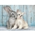 CLEMENTONI PUZZLE 500 EL HIGH QUALITY COLLECTION KOTEK I KRÓLICZEK 35004