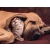 CLEMENTONI PUZZLE 500 EL HIGH QUALITY COLLECTION PIESKI 35020