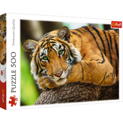 PORTRET TYGRYSA PUZZLE 500 TREFL 37397