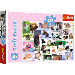 KOCI ŚWIAT PUZZLE 60 EL TREFL 17332
