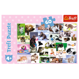 KOCI ŚWIAT PUZZLE 60 EL TREFL 17332